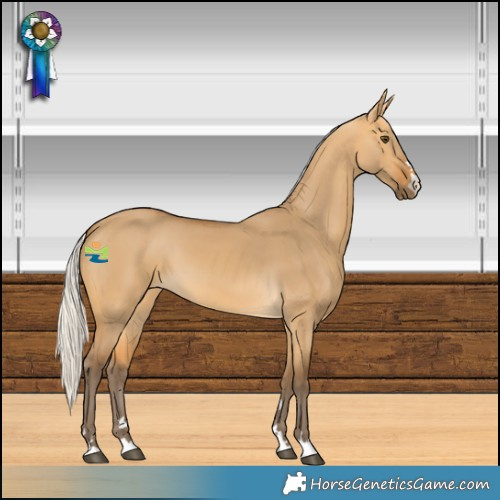Horse Color:Silver Buckskin Dun 
