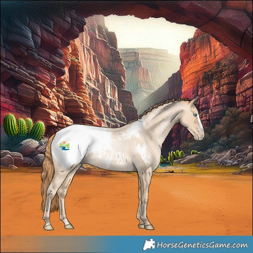Horse Color:Buckskin Roan Pearl Splash Snowcap