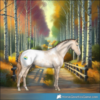 Horse Color:Buckskin Roan Pearl Splash Snowcap 