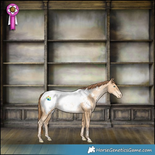 Horse Color:Buckskin Pearl Snowcap