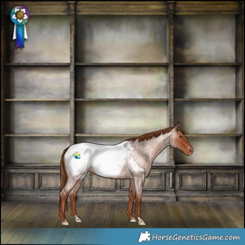 Horse Color:Red Roan Snowcap 