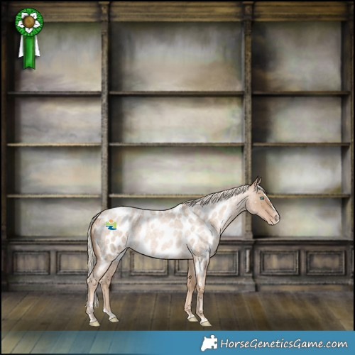 Horse Color:Chocolate Palomino Roan Pearl Splash Near Leopard 