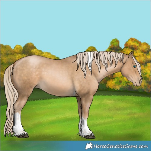 Horse Color:Chocolate Palomino Pearl Tobiano