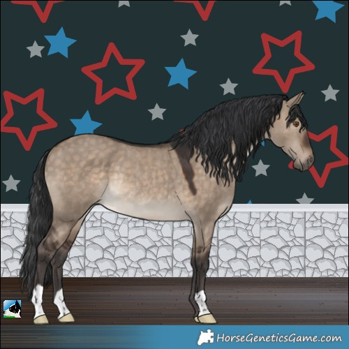 Horse Color:Brown Dun Rabicano 