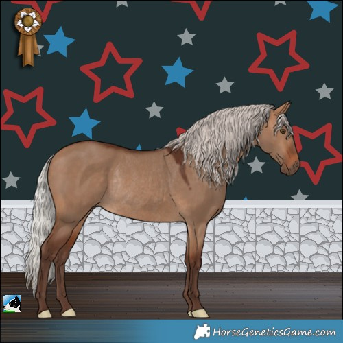 Horse Color:Silver Bay Dun Rabicano