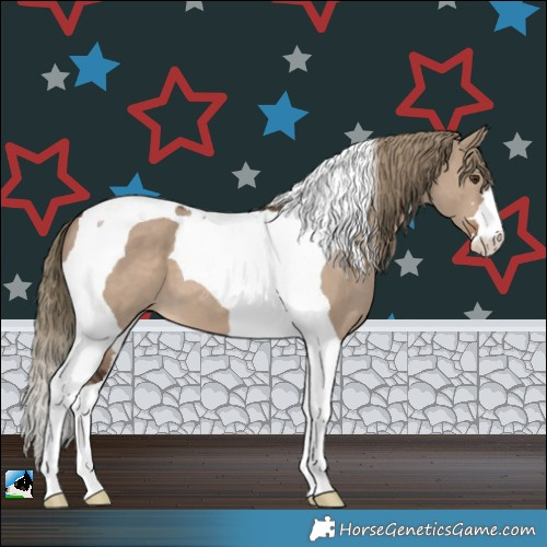 Horse Color:Liver Red Dun Tobiano