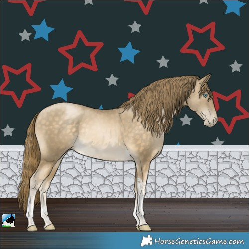 Horse Color:Buckskin Pearl Tobiano Rabicano