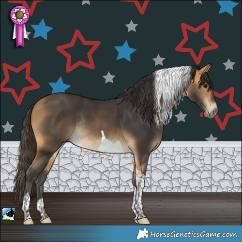 Horse Color:Buckskin Tobiano Rabicano