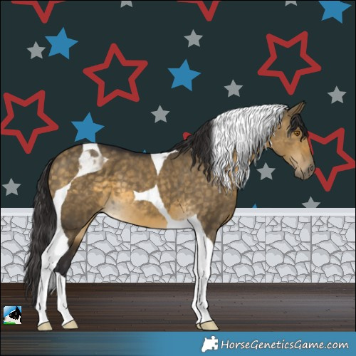 Horse Color:Buckskin Dun Tobiano