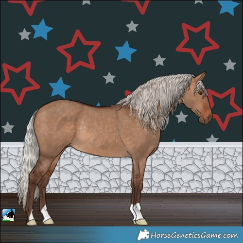 Horse Color:Silver Bay Dun Rabicano