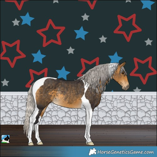Horse Color:Silver Buckskin Tobiano Rabicano 