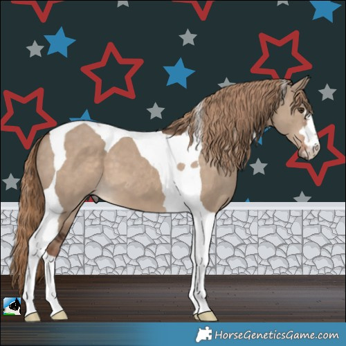 Horse Color:Liver Red Dun Tobiano 