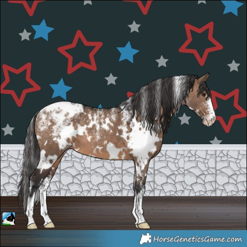 Horse Color:Powder White White Spotted Brown Dun Blanket 