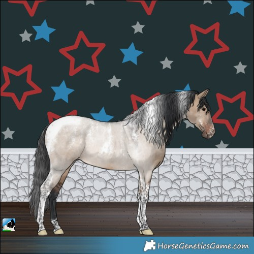 Horse Color:Powder White Brown Dun Tobiano Rabicano
