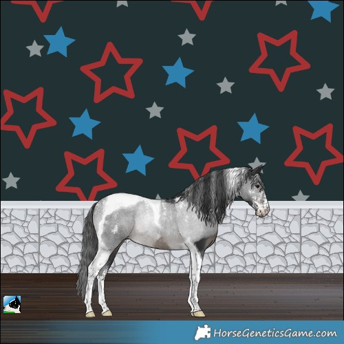 Horse Color:Powder White Black Tobiano Rabicano
