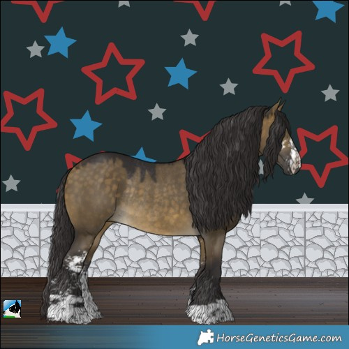 Horse Color:Buckskin Dun Sabino Rabicano 