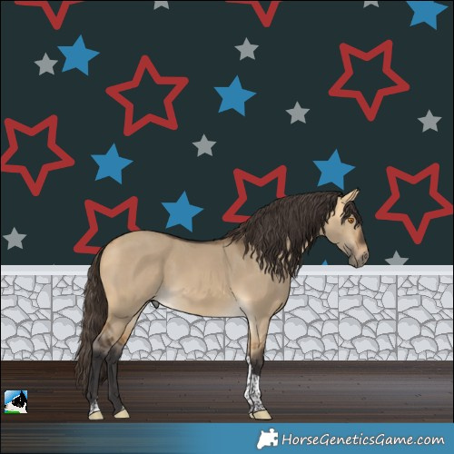 Horse Color:Buckskin Dun Tobiano Rabicano