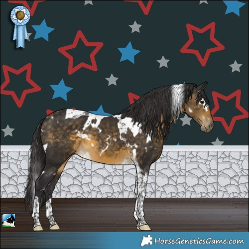 Horse Color:White Spotted Buckskin Tobiano Rabicano 
