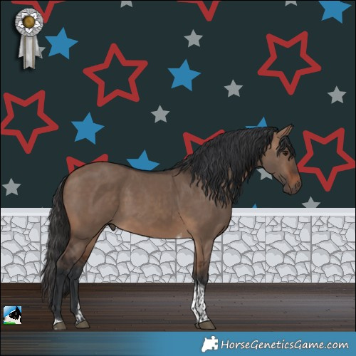 Horse Color:Brown Dun Tobiano Rabicano