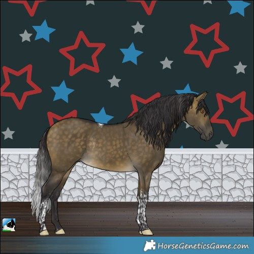 Horse Color:Buckskin Dun Tobiano Rabicano
