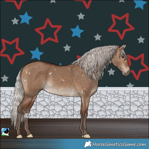 Horse Color:White Spotted Silver Bay Dun Rabicano