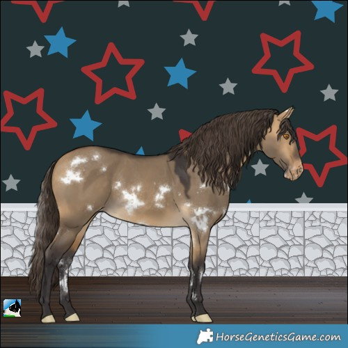 Horse Color:White Spotted Buckskin Dun Appaloosa Rabicano 