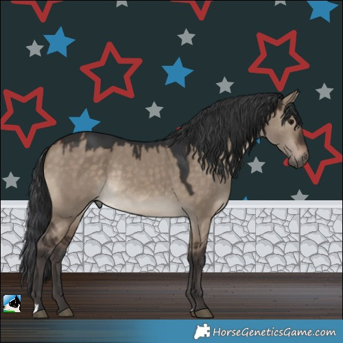 Horse Color:Brown Dun Rabicano 