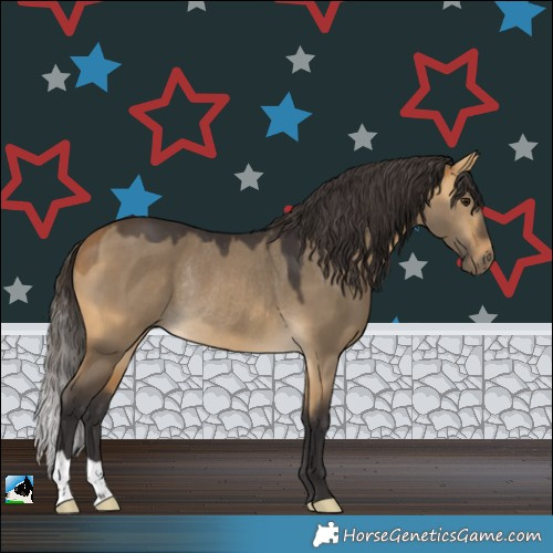 Horse Color:Buckskin Dun Rabicano