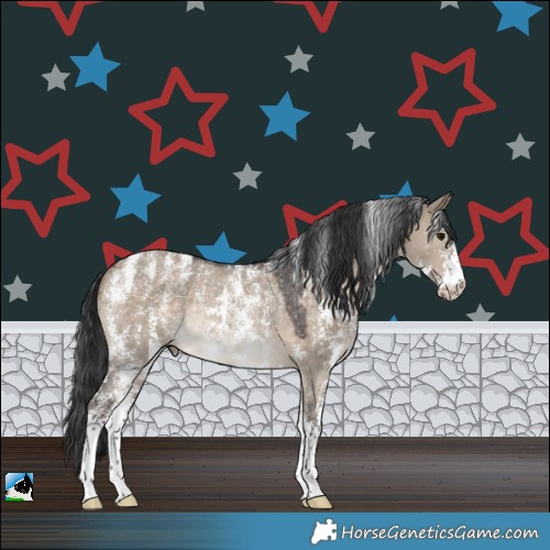 Horse Color:Powder White Brown Dun Sabino Rabicano