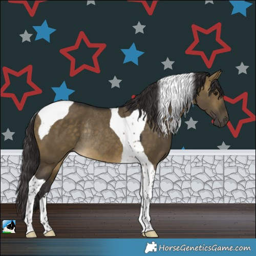 Horse Color:Buckskin Dun Tobiano Rabicano 