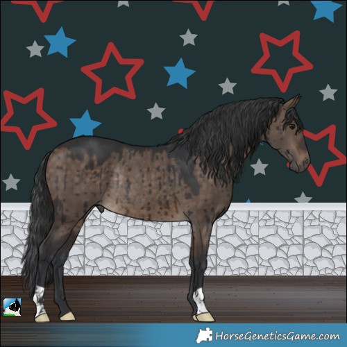 Horse Color:Brown Dun Rabicano Brindle