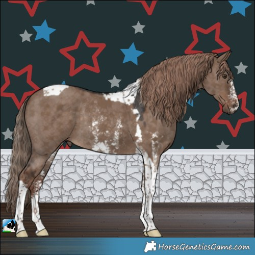 Horse Color:Liver Red Dun Sabino Tobiano Rabicano