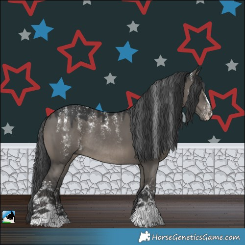 Horse Color:Powder White Grullo Sabino Rabicano