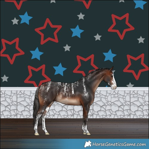 Horse Color:Powder White Bay Sabino 