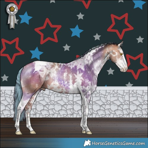 Horse Color:Painted Amber Champagne Ice Sabino Tobiano Rabicano