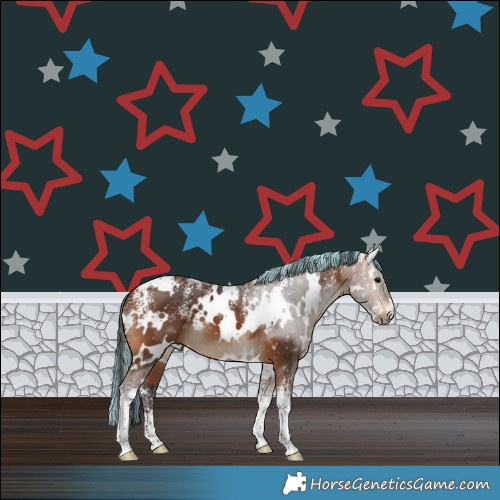 Horse Color:Powder White Painted White Spotted Bay