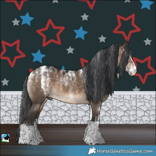 Horse Color:Powder White Brown Dun
