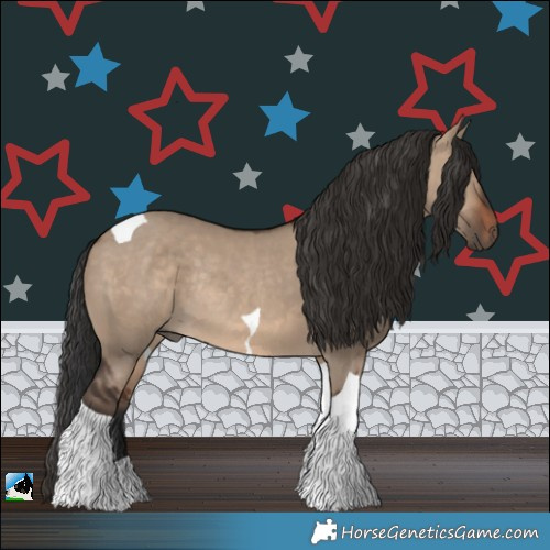 Horse Color:Brown Dun Tobiano Rabicano