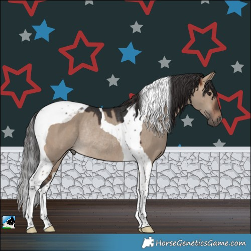 Horse Color:Brown Dun Tobiano Rabicano 