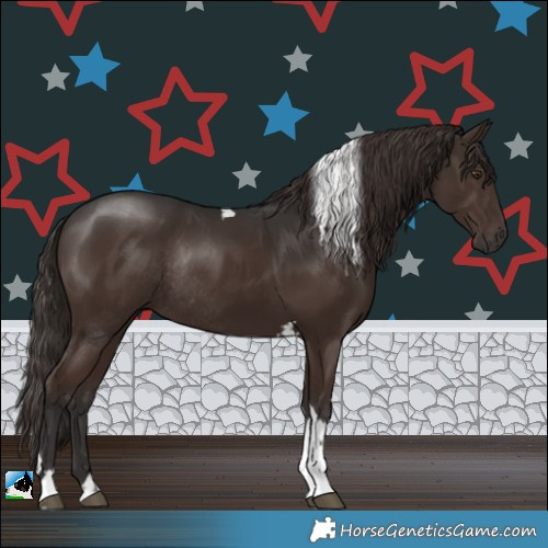 Horse Color:Liver Chestnut Tobiano Rabicano