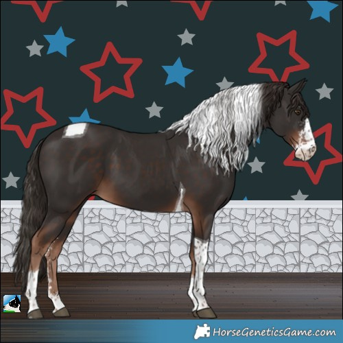 Horse Color:Liver Chestnut Sabino Tobiano 