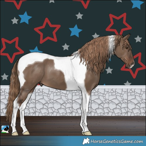 Horse Color:Liver Red Dun Tobiano 
