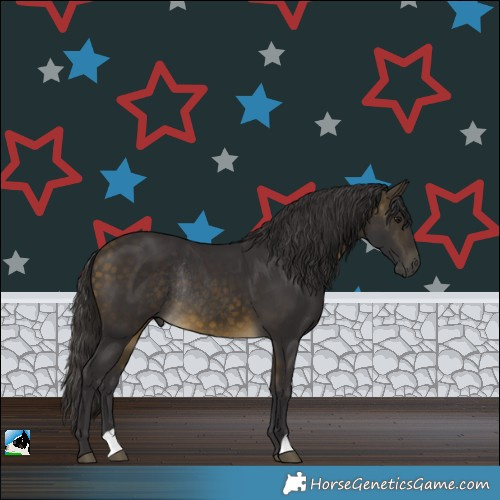 Horse Color:Buckskin Rabicano