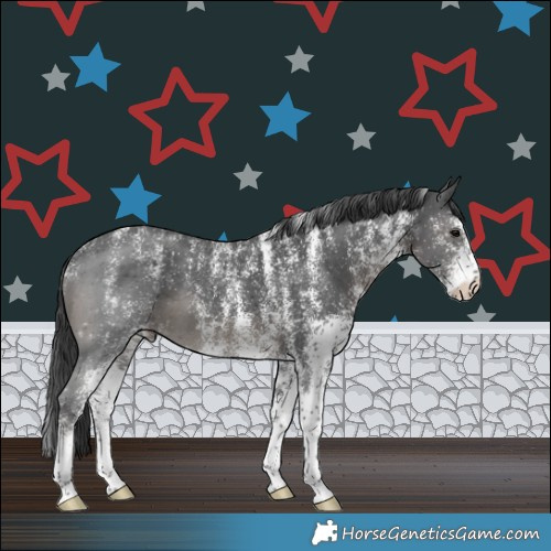 Horse Color:Powder White White Spotted Black