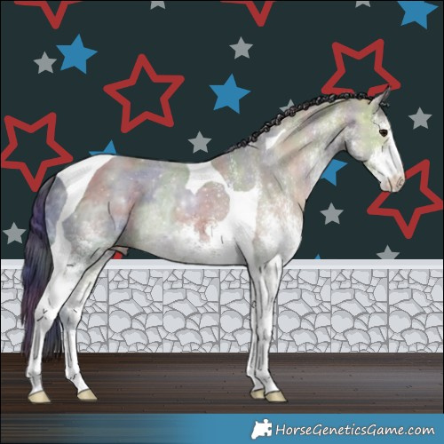 Horse Color:Nacre White Spotted Brown Ice Dun Tobiano Rabicano 