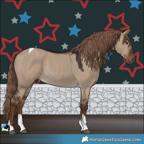 Horse Color:Liver Red Dun Tobiano Rabicano 