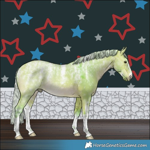 Horse Color:Powder White Watercolor Silver Bay Ice Dun 
