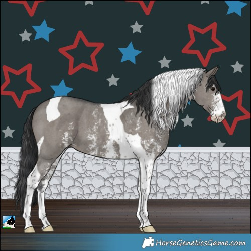 Horse Color:Grullo Sabino Tobiano