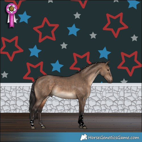 Horse Color:Brown Dun Tobiano Rabicano 
