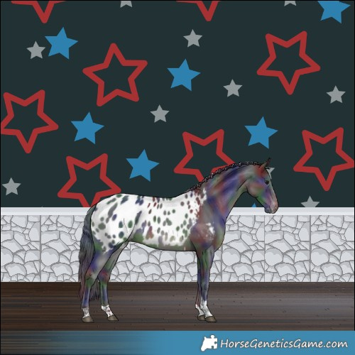 Horse Color:Nacre Black Tobiano Appaloosa Rabicano 